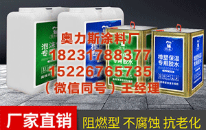 山东海绵胶厂 走上通道的代表｜吴喜春：全球业看 业看内蒙古